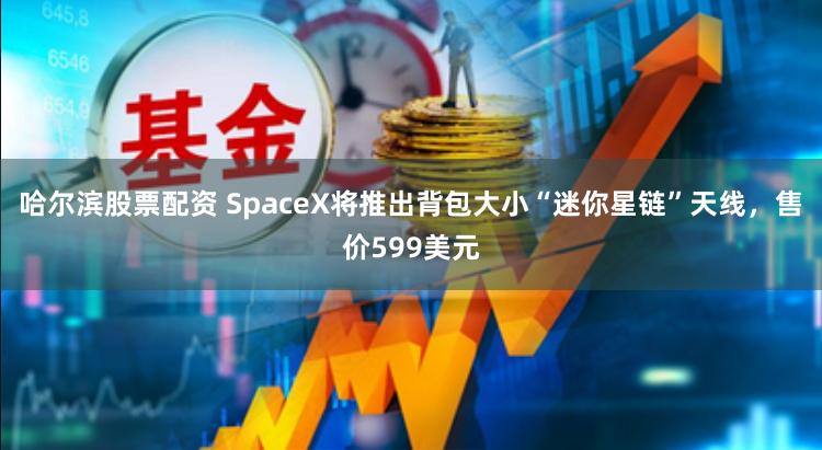 哈尔滨股票配资 SpaceX将推出背包大小“迷你星链”天线，售价599美元