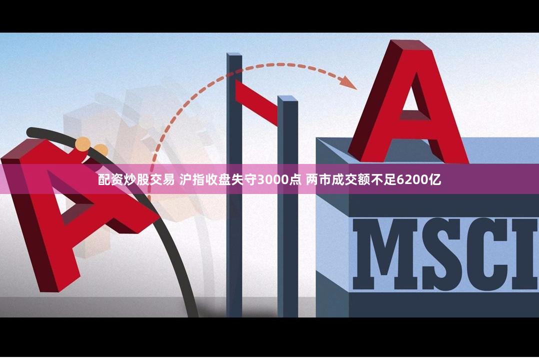 配资炒股交易 沪指收盘失守3000点 两市成交额不足6200亿