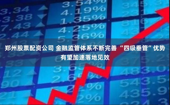 郑州股票配资公司 金融监管体系不断完善 “四级垂管”优势有望加速落地见效