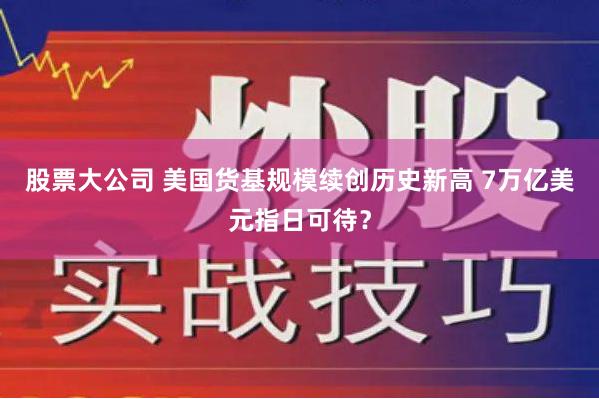 股票大公司 美国货基规模续创历史新高 7万亿美元指日可待？